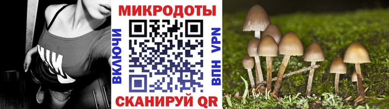 blacksprut как войти  сайты даркнета Telegram  Галлюциногенные грибы мицелий  Яровое 